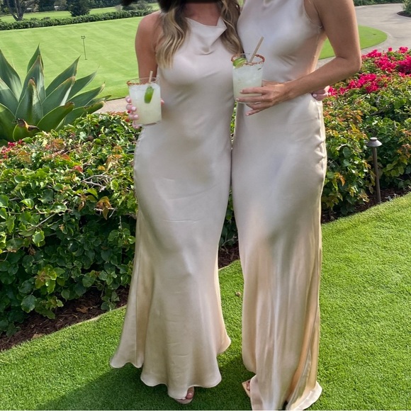 Stone cold Fox silk formal dress (great option for bridesmaid) - Picture 5 of 5